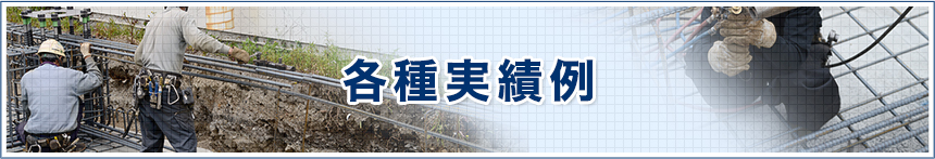 各種実績例